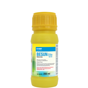 Besun Elite 300 SC